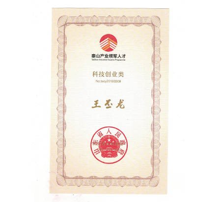 喜報 | 青島佳恩半導體總經理王丕龍榮獲“泰山產業(yè)領軍人才”稱號